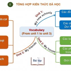 Vocabulary--Review 1-- My home, My friends, My school trên trang https://tienganhgiadinh.com